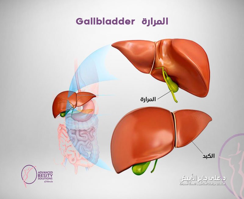 المرارة